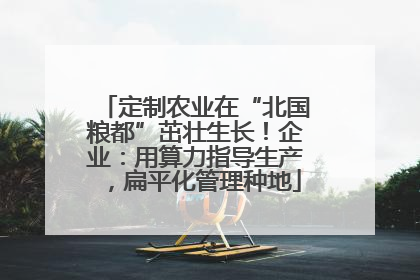 定制农业在“北国粮都”茁壮生长！企业：用算力指导生产，扁平化管理种地