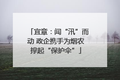 宜章：闻“汛”而动 政企携手为烟农撑起“保护伞”