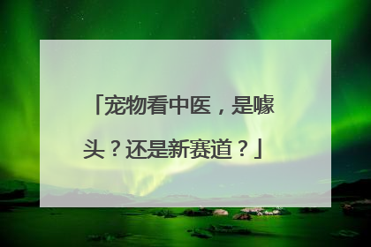 宠物看中医，是噱头？还是新赛道？