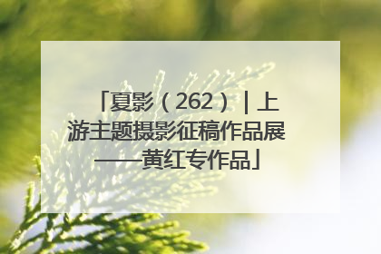 夏影（262）｜上游主题摄影征稿作品展——黄红专作品
