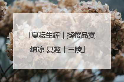 夏耘生辉｜撷樱品宴纳凉 夏趣十三陵