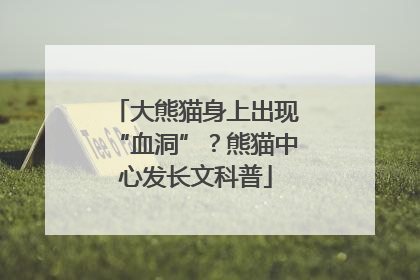 大熊猫身上出现“血洞”？熊猫中心发长文科普
