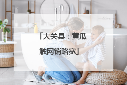 大关县：黄瓜触网销路宽