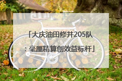 大庆油田修井205队：毫厘精算创效益标杆