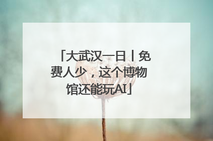 大武汉一日丨免费人少，这个博物馆还能玩AI
