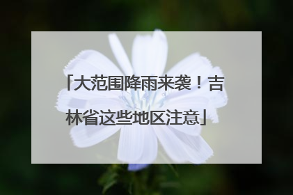 大范围降雨来袭！吉林省这些地区注意