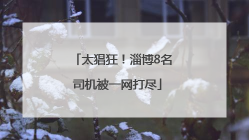 太猖狂！淄博8名司机被一网打尽