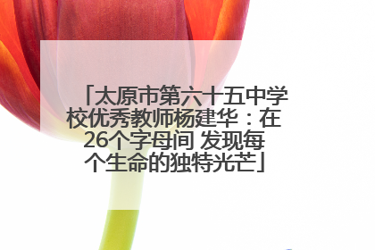 太原市第六十五中学校优秀教师杨建华：在26个字母间 发现每个生命的独特光芒