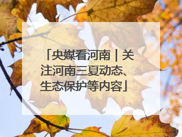 央媒看河南｜关注河南三夏动态、生态保护等内容