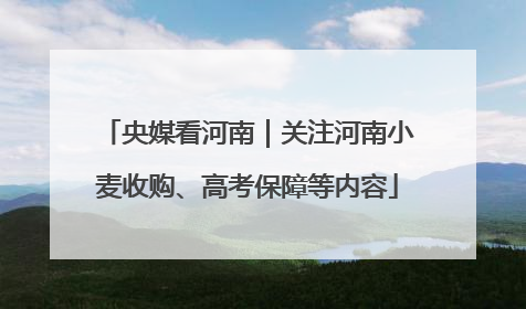 央媒看河南｜关注河南小麦收购、高考保障等内容