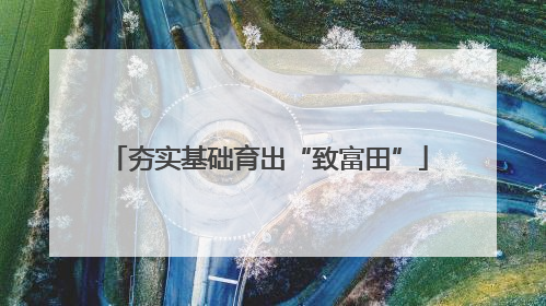 夯实基础育出“致富田”