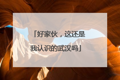 好家伙，这还是我认识的武汉吗