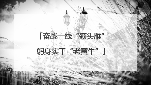 奋战一线“领头雁” 躬身实干“老黄牛”
