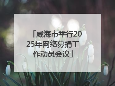 威海市举行2025年网络募捐工作动员会议