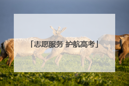 志愿服务 护航高考