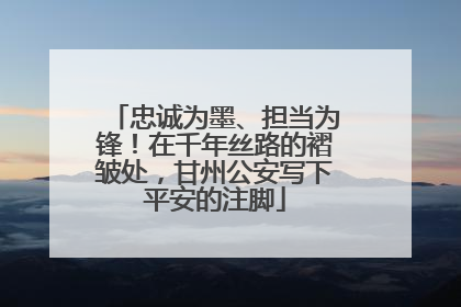 忠诚为墨、担当为锋！在千年丝路的褶皱处，甘州公安写下平安的注脚