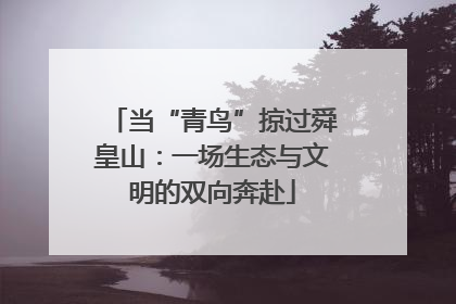 当“青鸟”掠过舜皇山：一场生态与文明的双向奔赴