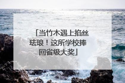 当竹木遇上掐丝珐琅！这所学校捧回省级大奖