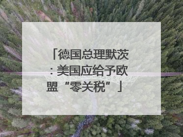 德国总理默茨：美国应给予欧盟“零关税”