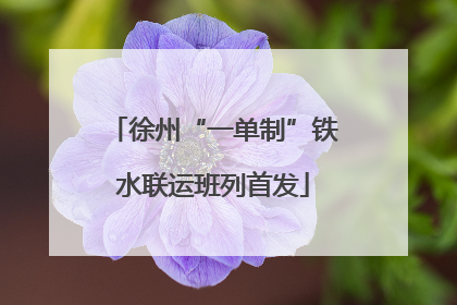 徐州“一单制”铁水联运班列首发