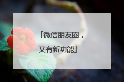 微信朋友圈，又有新功能