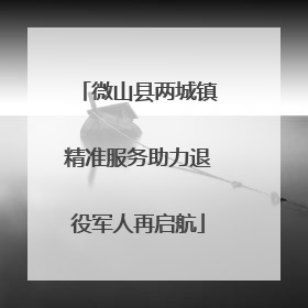 微山县两城镇精准服务助力退役军人再启航