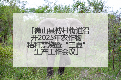 微山县傅村街道召开2025年农作物秸秆禁烧暨“三夏”生产工作会议