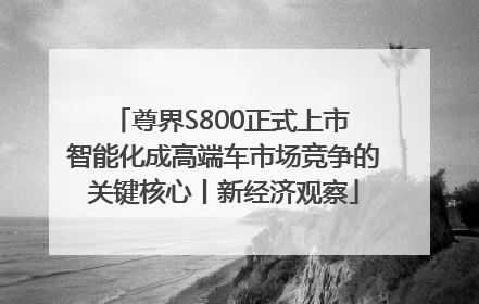 尊界S800正式上市 智能化成高端车市场竞争的关键核心丨新经济观察