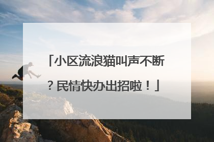 小区流浪猫叫声不断？民情快办出招啦！