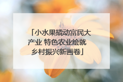 小水果撬动富民大产业 特色农业绘就乡村振兴新画卷