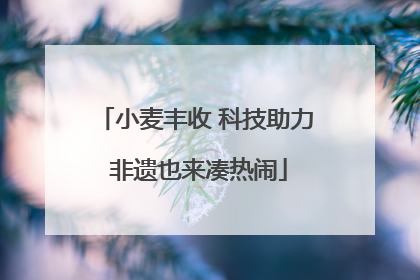 小麦丰收 科技助力 非遗也来凑热闹