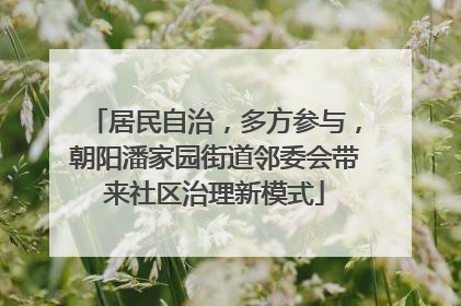 居民自治，多方参与，朝阳潘家园街道邻委会带来社区治理新模式
