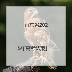山东省2025年高考结束