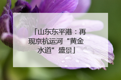 山东东平港：再现京杭运河“黄金水道”盛景