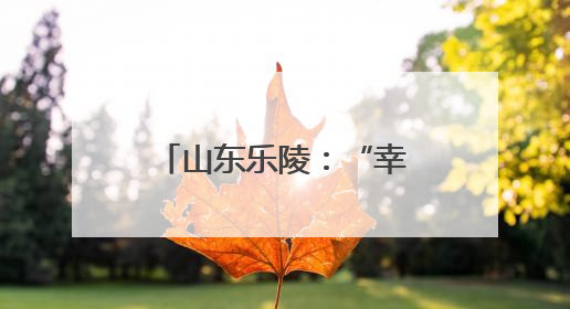 山东乐陵：“幸福市集”迎端午