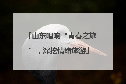 山东唱响“青春之旅”，深挖情绪旅游