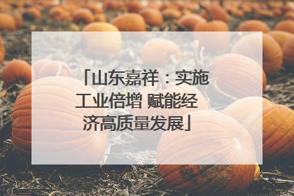 山东嘉祥：实施工业倍增 赋能经济高质量发展