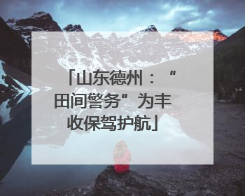 山东德州：“田间警务”为丰收保驾护航