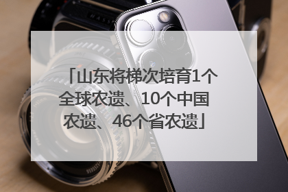 山东将梯次培育1个全球农遗、10个中国农遗、46个省农遗