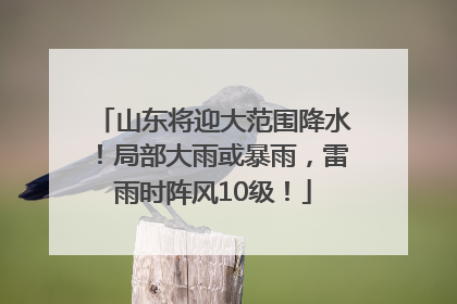 山东将迎大范围降水！局部大雨或暴雨，雷雨时阵风10级！