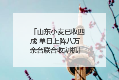 山东小麦已收四成 单日上阵八万余台联合收割机