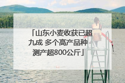 山东小麦收获已超九成 多个高产品种测产超800公斤
