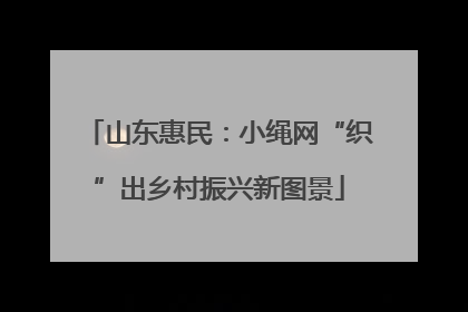 山东惠民：小绳网“织”出乡村振兴新图景