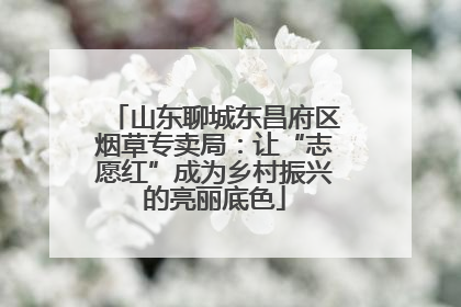 山东聊城东昌府区烟草专卖局：让“志愿红”成为乡村振兴的亮丽底色