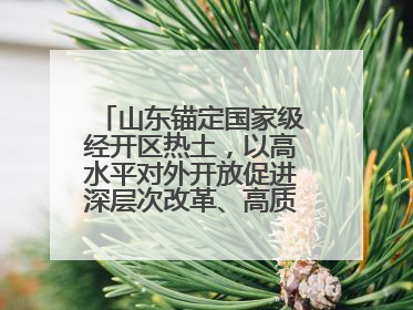 山东锚定国家级经开区热土，以高水平对外开放促进深层次改革、高质量发展