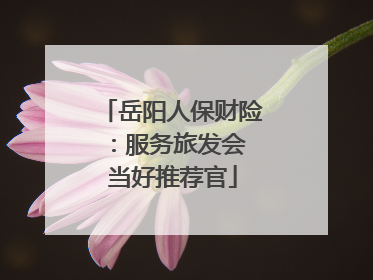 岳阳人保财险：服务旅发会 当好推荐官
