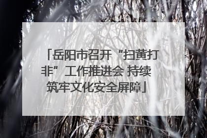 岳阳市召开“扫黄打非”工作推进会 持续筑牢文化安全屏障