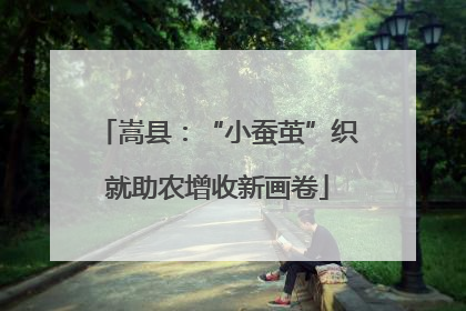 嵩县：“小蚕茧”织就助农增收新画卷