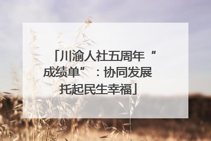 川渝人社五周年“成绩单”：协同发展托起民生幸福
