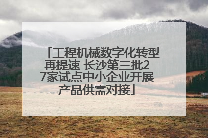工程机械数字化转型再提速 长沙第三批27家试点中小企业开展产品供需对接
